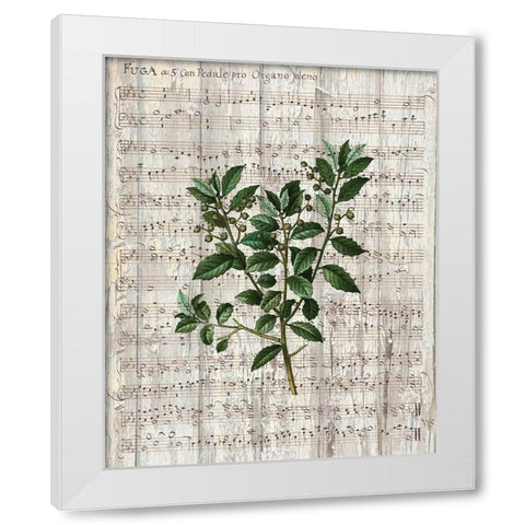 Musical Botanical 2 White Modern Wood Framed Art Print by Kimberly, Allen