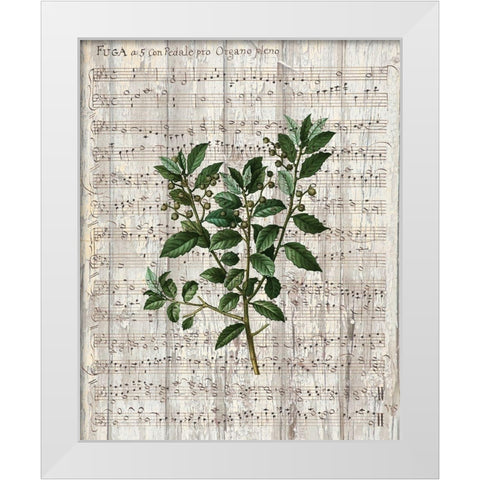 Musical Botanical 2 White Modern Wood Framed Art Print by Kimberly, Allen
