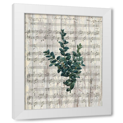Musical Botanical 3 White Modern Wood Framed Art Print by Kimberly, Allen