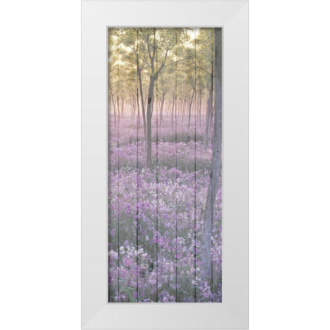 Sunset through the Trees 2 White Modern Wood Framed Art Print by Kimberly, Allen