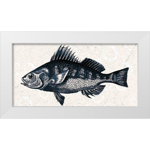Sea Life 1 White Modern Wood Framed Art Print by Kimberly, Allen