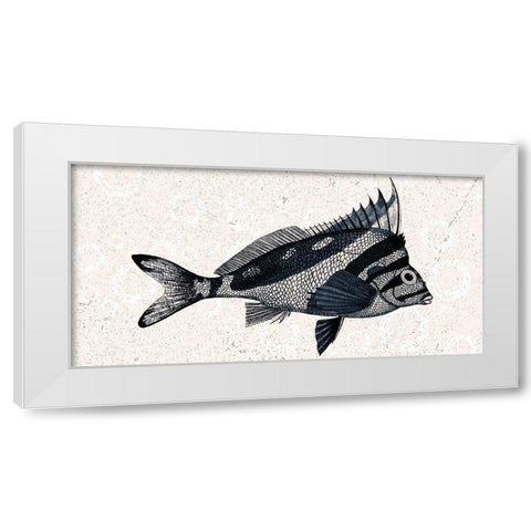 Sea Life 2 White Modern Wood Framed Art Print by Kimberly, Allen