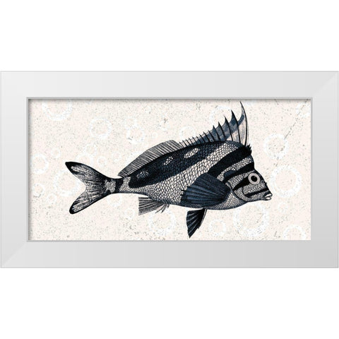 Sea Life 2 White Modern Wood Framed Art Print by Kimberly, Allen