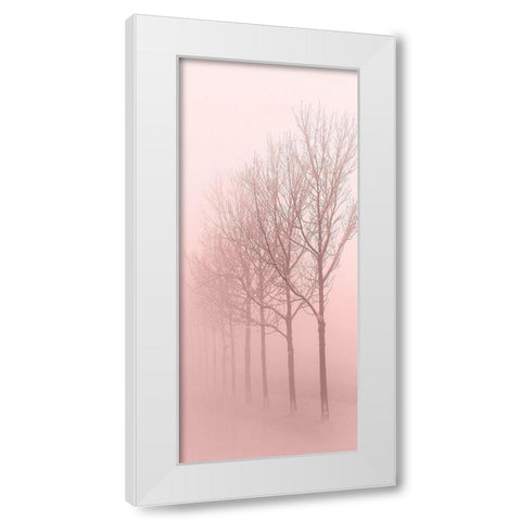 Pink Dawn 1 White Modern Wood Framed Art Print by Kimberly, Allen