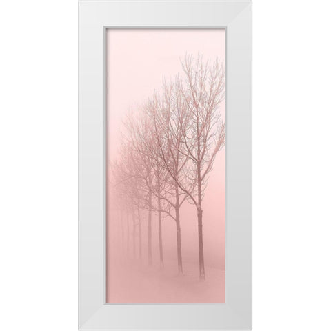 Pink Dawn 1 White Modern Wood Framed Art Print by Kimberly, Allen