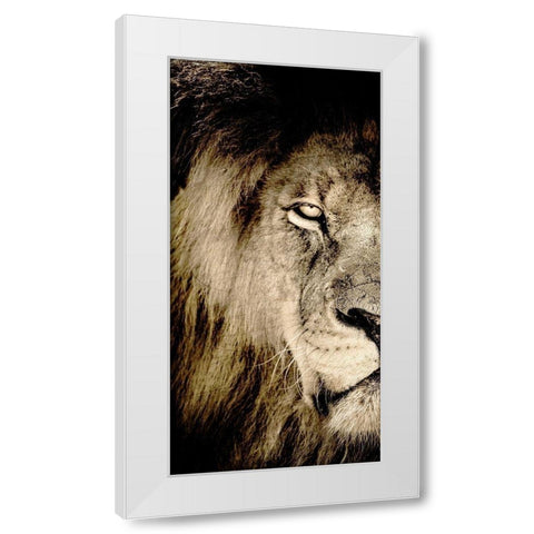 Gaze A White Modern Wood Framed Art Print by Kimberly, Allen