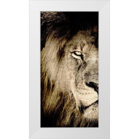 Gaze A White Modern Wood Framed Art Print by Kimberly, Allen
