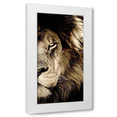 Gaze B White Modern Wood Framed Art Print by Kimberly, Allen