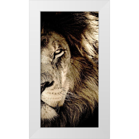 Gaze B White Modern Wood Framed Art Print by Kimberly, Allen