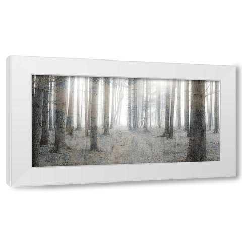 Forest Dream White Modern Wood Framed Art Print by Kimberly, Allen