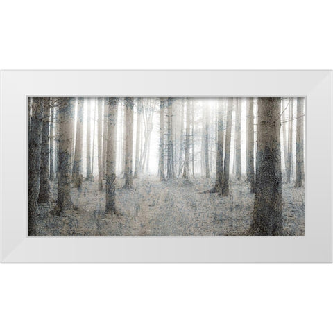 Forest Dream White Modern Wood Framed Art Print by Kimberly, Allen