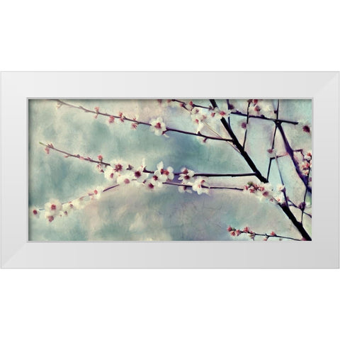 Cherry Blossoms Bloom White Modern Wood Framed Art Print by Kimberly, Allen