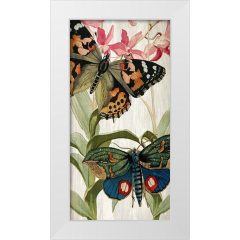 Butterfly World 1 White Modern Wood Framed Art Print by Kimberly, Allen