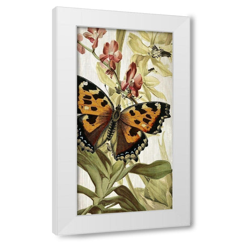 Butterfly World 2 White Modern Wood Framed Art Print by Kimberly, Allen