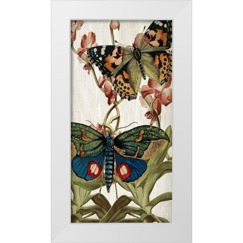 Butterfly World 3 White Modern Wood Framed Art Print by Kimberly, Allen