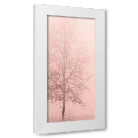 Pinkest Dawn 2 White Modern Wood Framed Art Print by Kimberly, Allen