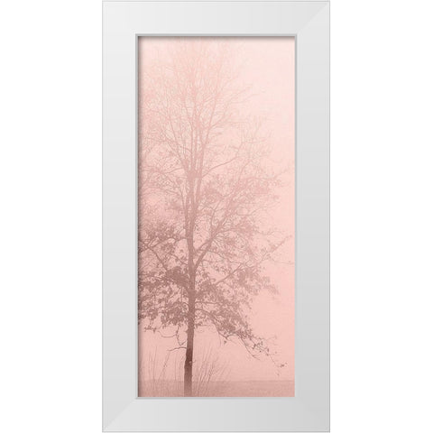 Pinkest Dawn 2 White Modern Wood Framed Art Print by Kimberly, Allen
