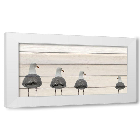 Seagulls on Wood White Modern Wood Framed Art Print by Kimberly, Allen