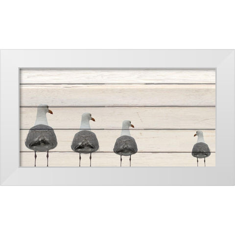 Seagulls on Wood White Modern Wood Framed Art Print by Kimberly, Allen
