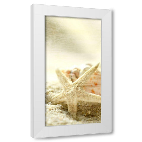 Starfish Beach 6 v2 White Modern Wood Framed Art Print by Kimberly, Allen