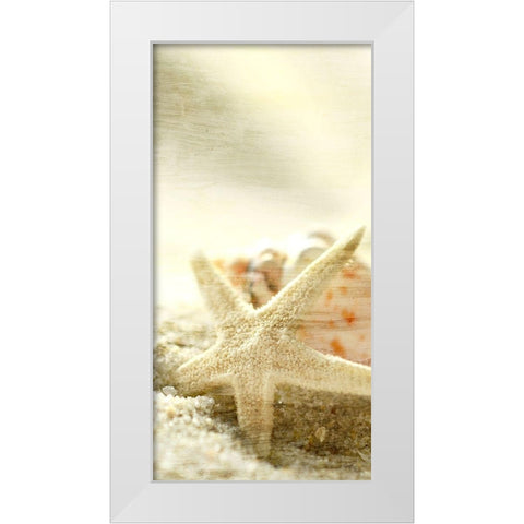 Starfish Beach 6 v2 White Modern Wood Framed Art Print by Kimberly, Allen