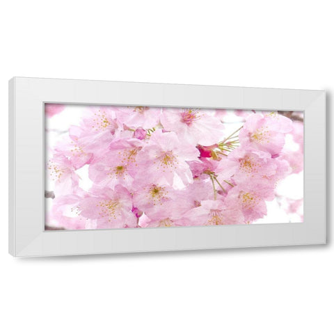 Paris in Bloom 2 White Modern Wood Framed Art Print by Kimberly, Allen