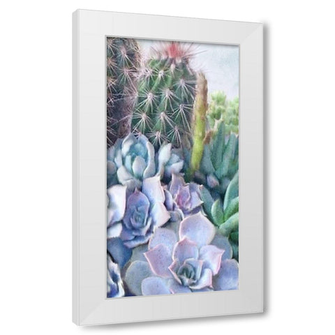 Succulent Garden 1 White Modern Wood Framed Art Print by Kimberly, Allen