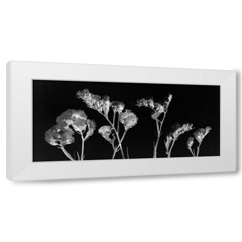 Wild Blooms White Modern Wood Framed Art Print by Kimberly, Allen