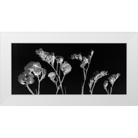 Wild Blooms White Modern Wood Framed Art Print by Kimberly, Allen