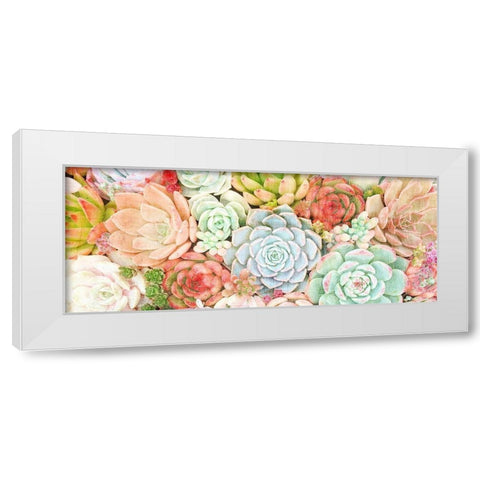 Colorful Succulents 1 White Modern Wood Framed Art Print by Kimberly, Allen