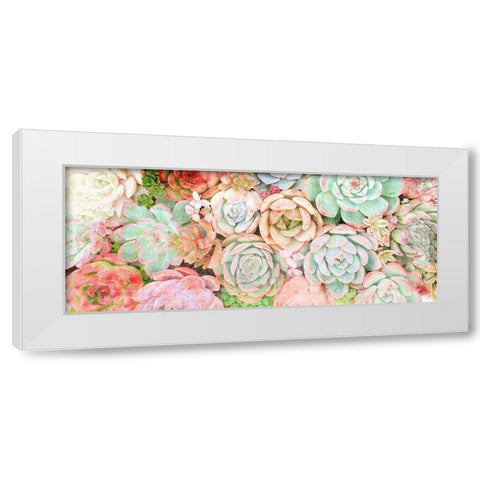 Colorful Succulents 2 White Modern Wood Framed Art Print by Kimberly, Allen