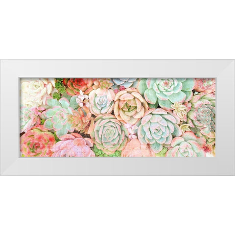 Colorful Succulents 2 White Modern Wood Framed Art Print by Kimberly, Allen