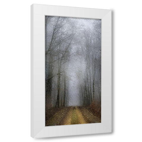 Road of Mysteries 1 White Modern Wood Framed Art Print by Allen, Kimberly