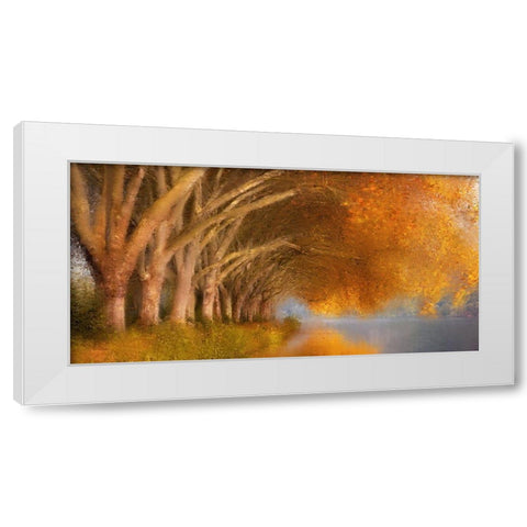 Quiet Pond White Modern Wood Framed Art Print by Allen, Kimberly