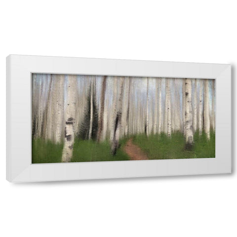 Path through the Aspens White Modern Wood Framed Art Print by Allen, Kimberly