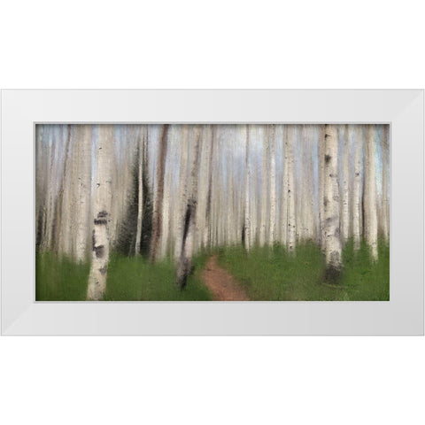 Path through the Aspens White Modern Wood Framed Art Print by Allen, Kimberly