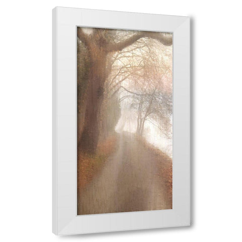 Into the Mist White Modern Wood Framed Art Print by Allen, Kimberly