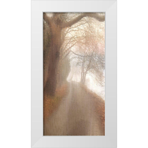 Into the Mist White Modern Wood Framed Art Print by Allen, Kimberly
