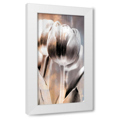 Tulip 1 White Modern Wood Framed Art Print by Allen, Kimberly
