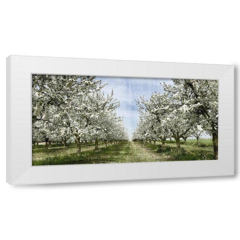 Spring White Modern Wood Framed Art Print by Allen, Kimberly