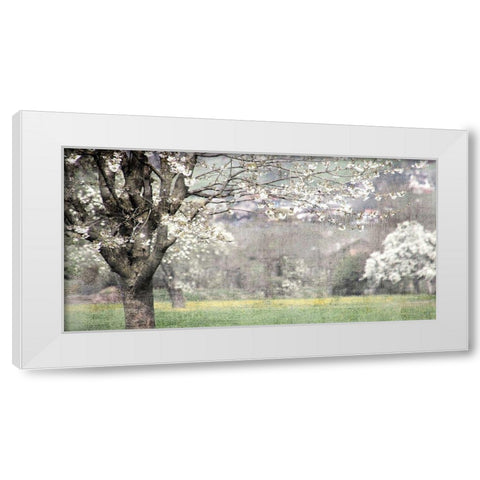 Apple Blossom White Modern Wood Framed Art Print by Allen, Kimberly