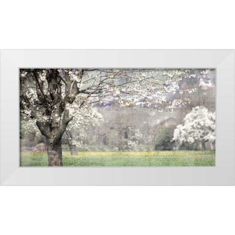 Apple Blossom White Modern Wood Framed Art Print by Allen, Kimberly