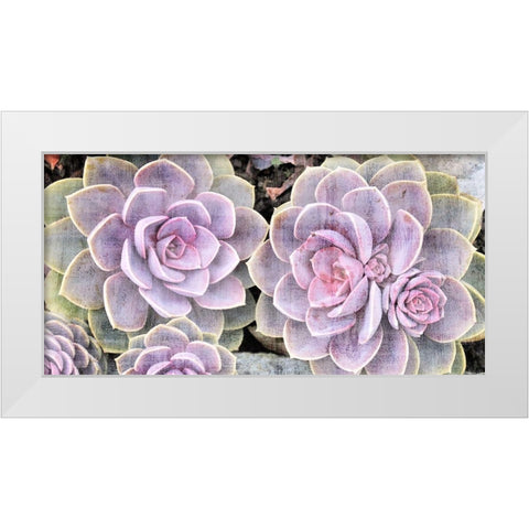 Succulents White Modern Wood Framed Art Print by Allen, Kimberly