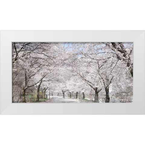 Cherry Blossom Lane White Modern Wood Framed Art Print by Allen, Kimberly