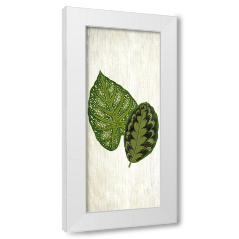 Botanical Greens 1 White Modern Wood Framed Art Print by Allen, Kimberly
