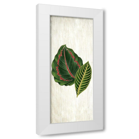 Botanical Greens 3 White Modern Wood Framed Art Print by Allen, Kimberly