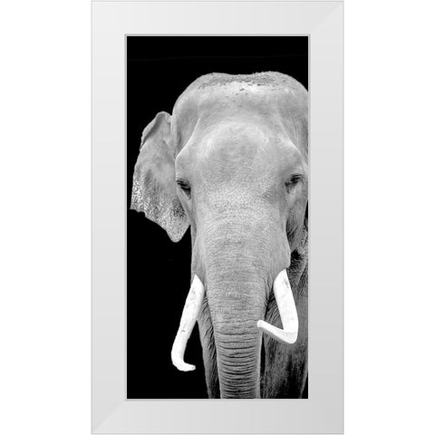 Strong 2 White Modern Wood Framed Art Print by Allen, Kimberly