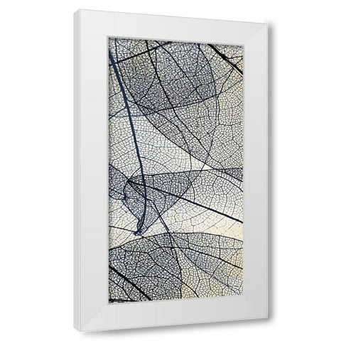 Transparent 2 White Modern Wood Framed Art Print by Allen, Kimberly