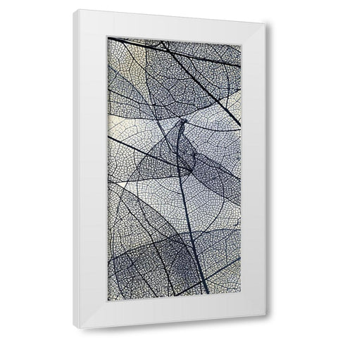 Transparent 3 V5 White Modern Wood Framed Art Print by Allen, Kimberly