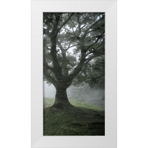 Summer Shades 3 White Modern Wood Framed Art Print by Allen, Kimberly